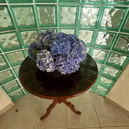 Casa Da Fazenda * Santa Cruz das Flores