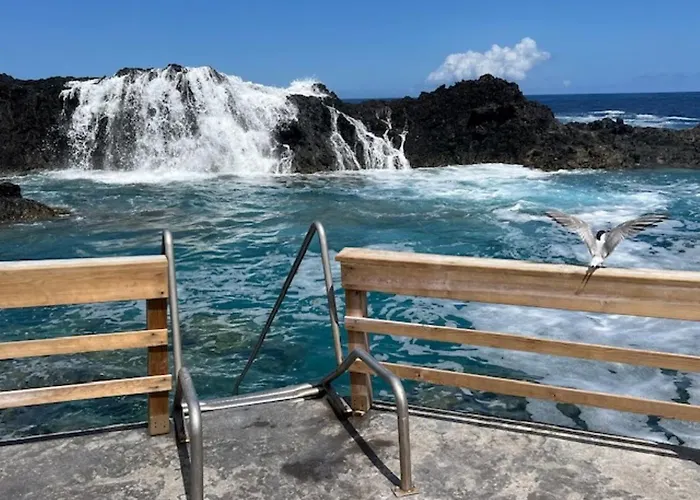 Casa Da Fazenda Homestay *